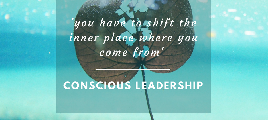 Consious systemic leadership